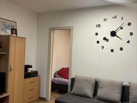 Rent, one bedroom apartment, 25m², Telep, Novi Sad Sve Podlokacije - image 3