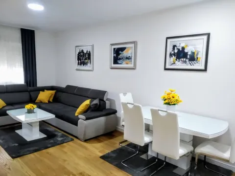 Izdavanje, jednosoban stan, 48m², Central Point, Podgorica - image 1
