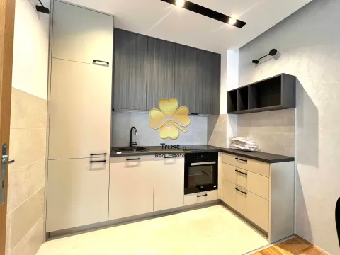 Izdavanje, jednosoban stan, 50m², Stari Aerodrom, Podgorica - image 4