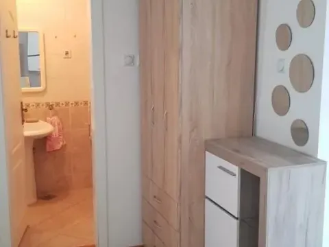 Izdavanje, garsonjera, 27m², Detelinara, Novi Sad Sve Podlokacije - image 8