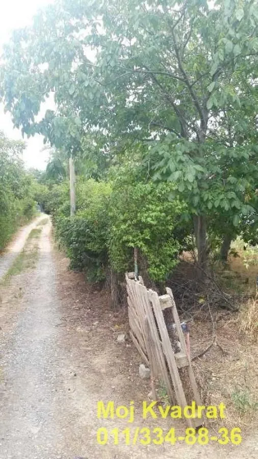 Sale, land lot, 974m², Grocka, Beograd