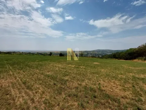 Prodaja, plac, 7500m², Banja Vrdnik, Irig - image 4