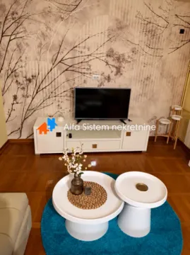 Izdavanje, dvosoban stan, 75m², Južni Bulevar, Vračar Sve Podlokacije - image 2