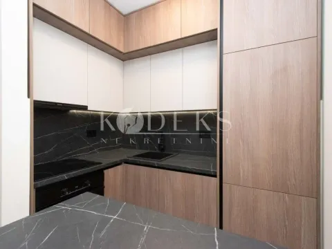 Izdavanje, jednosoban stan, 47m², Central Point, Podgorica - image 3
