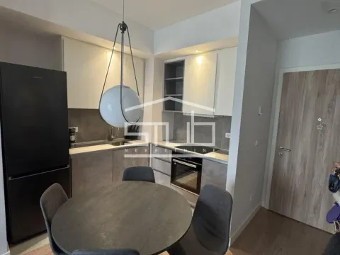 Izdavanje, dvosoban stan, 56m², Savski Venac, Beograd - image 3