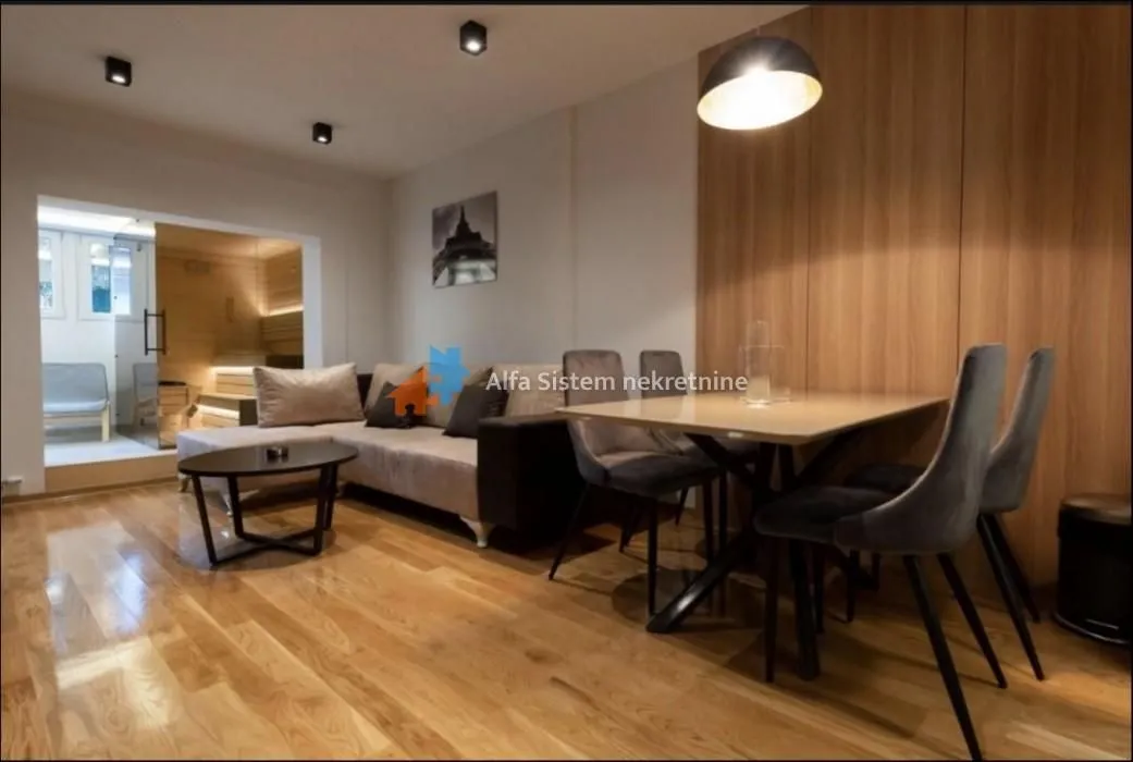 Izdavanje, dvosoban stan, 55m², Vračar Sve Podlokacije, Beograd