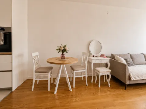 Sale, one bedroom apartment, 47m², Central Point, Podgorica - image 2