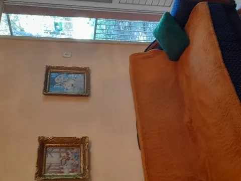 Prodaja, dvosoban stan, 53m², Banovo Brdo, Beograd - image 4