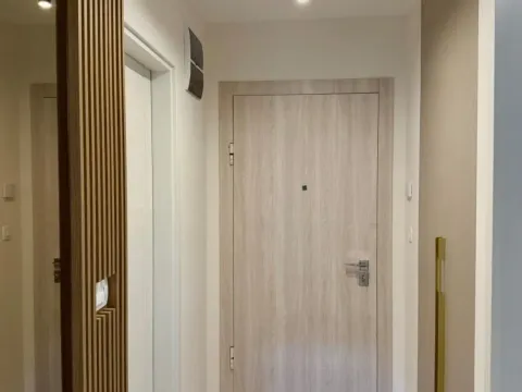 Rent, one bedroom apartment, 41m², Zabjelo, Podgorica - image 11