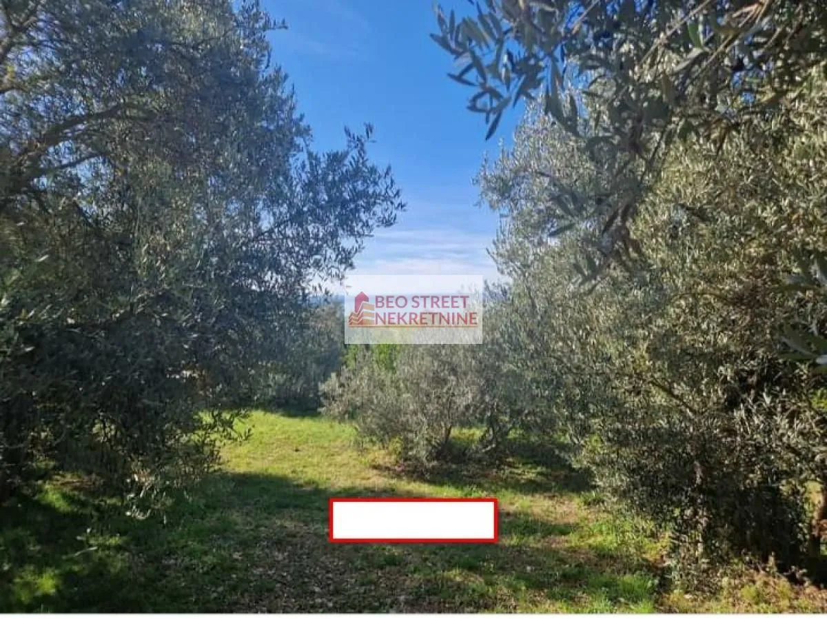 Prodaja, kuća, 303m², Reževići, Budva