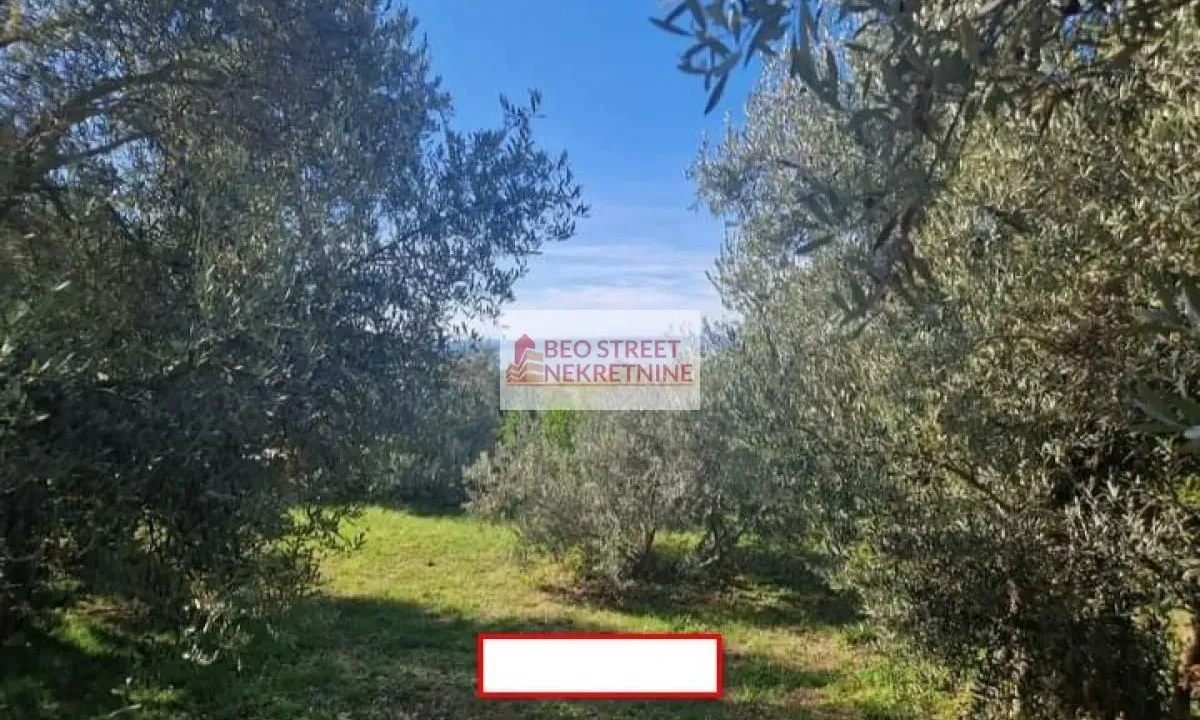 Sale, house, 303m², Reževići, Budva