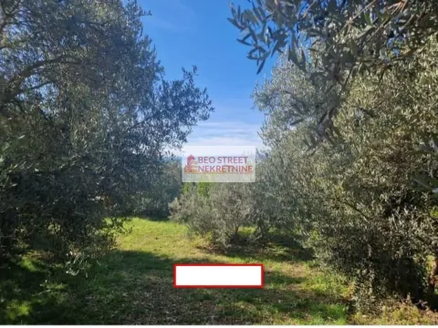 Sale, house, 303m², Reževići, Budva