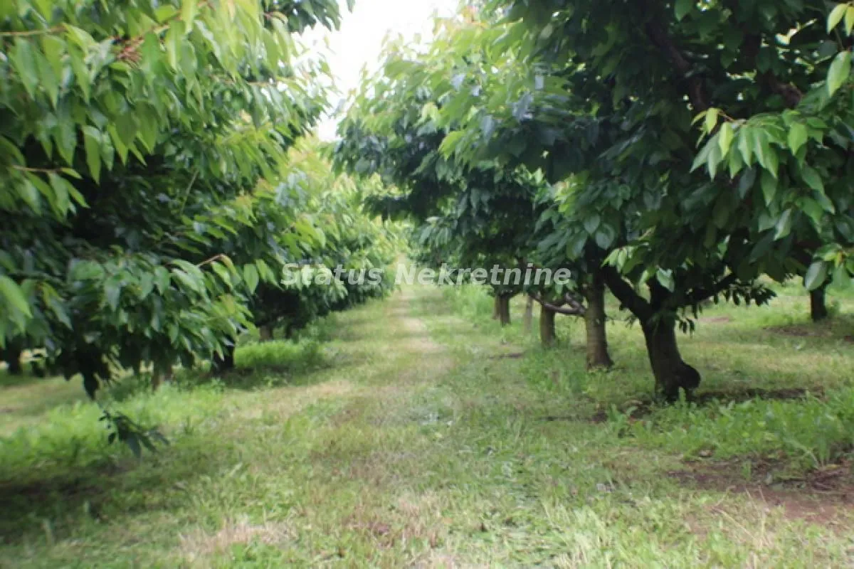 Prodaja, plac, 114m², Krčedin, Inđija