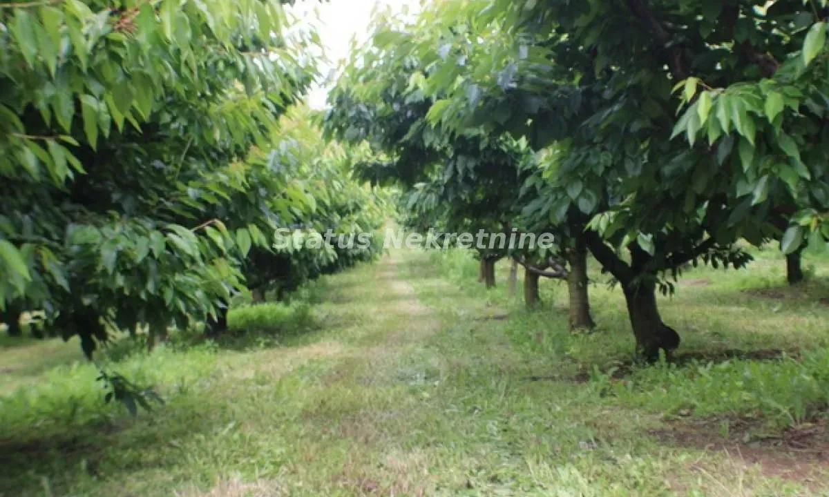 Sale, land lot, 114m², Krčedin, Inđija