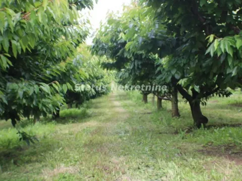 Sale, land lot, 114m², Krčedin, Inđija