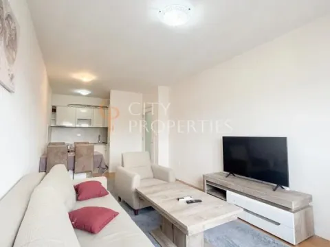 Izdavanje, stan, 50m², Central Point, Podgorica - image 9