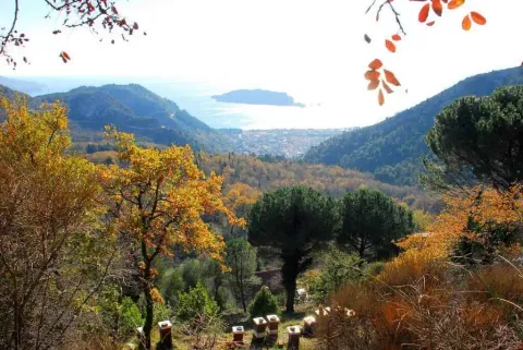 Panoramski pogled sa imanja na dolinu i more u daljini. - image 3