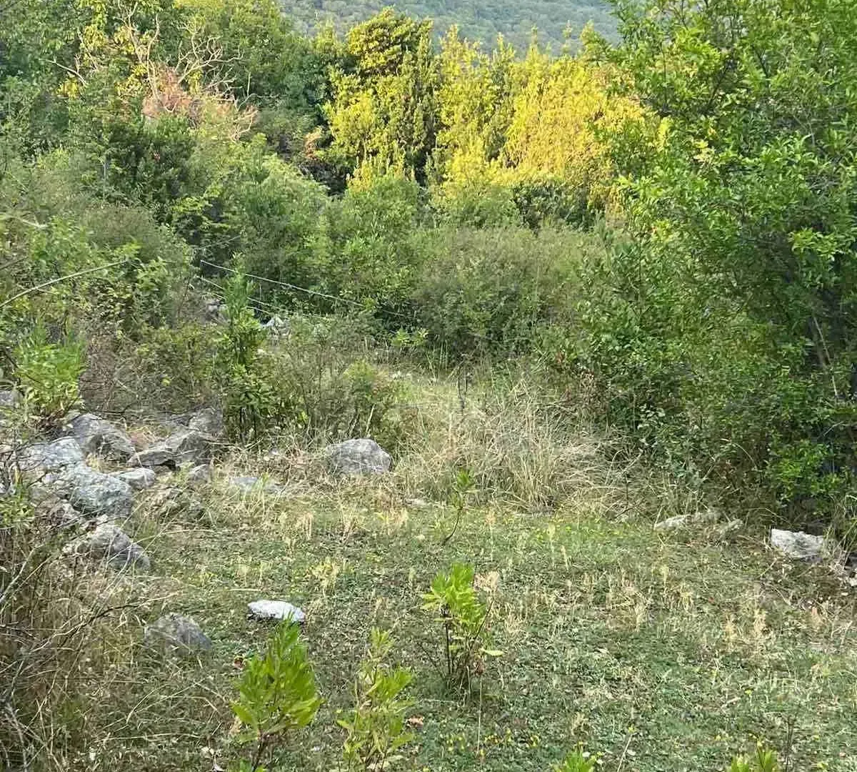 Prodaja, plac, 9800m², Herceg Novi, Crna Gora