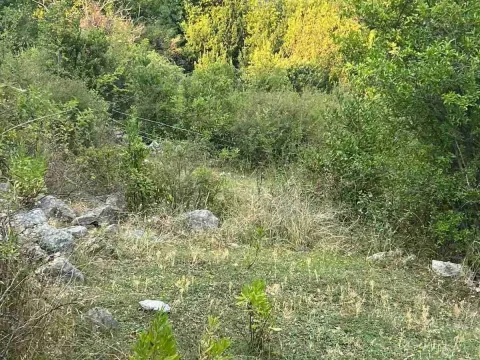 Prodaja, plac, 9800m², Herceg Novi, Crna Gora - image 9