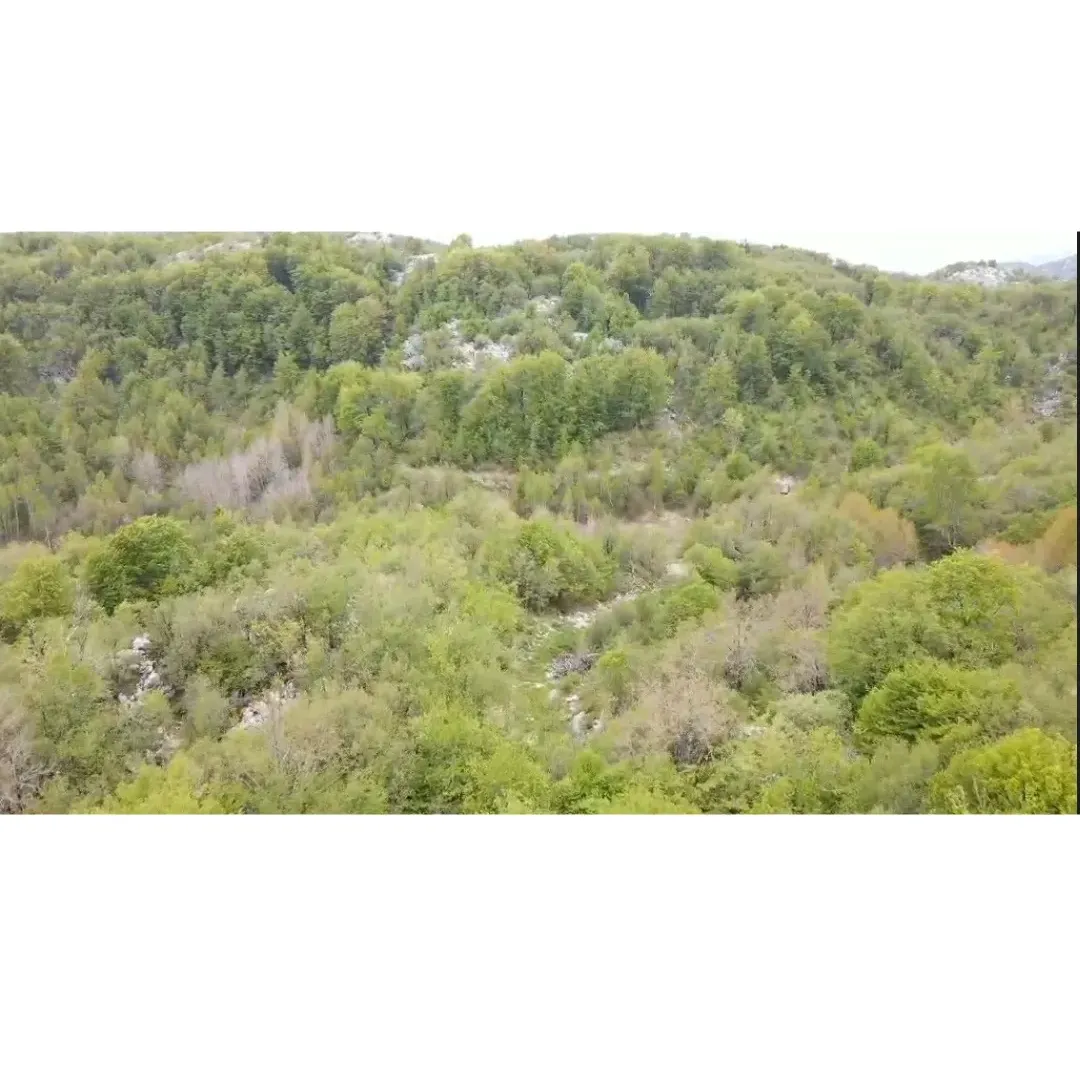 Rent, land lot, 500000m², Cetinje, Crna Gora