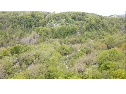 Rent, land lot, 500000m², Cetinje, Crna Gora - image 2