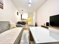 Izdavanje, jednosoban stan, 47m², Central Point, Podgorica - image 2