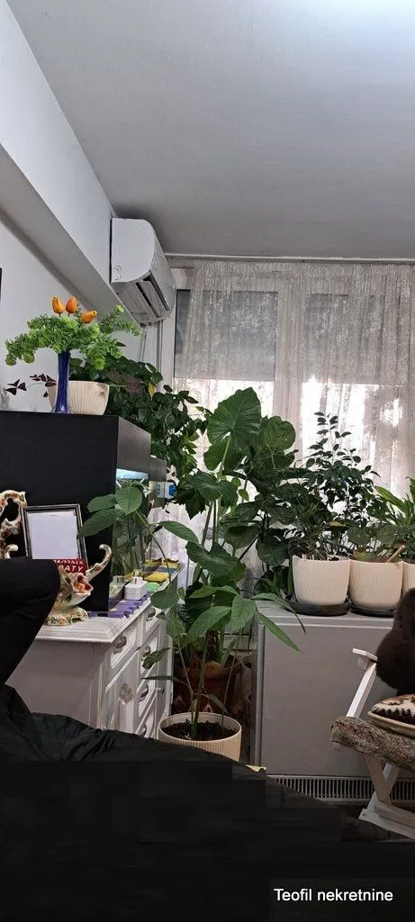Prodaja, trosoban stan, 60m², Novi Sad, Srbija
