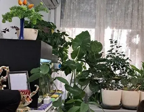 Prodaja, trosoban stan, 60m², Novi Sad, Srbija - image 2