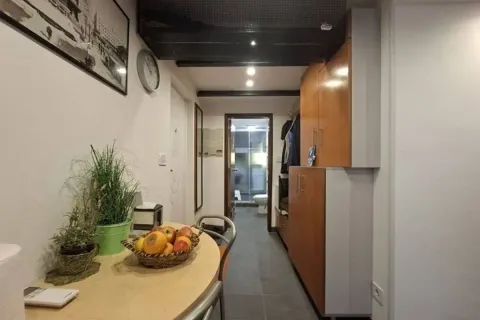 Izdavanje, dvosoban stan, 33m², Stari Grad, Beograd - image 9