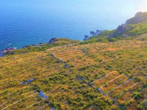 Prodaja, plac, 1492m², Reževići, Budva - image 5