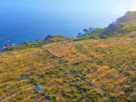 Sale, land lot, 1492m², Reževići, Budva - image 5