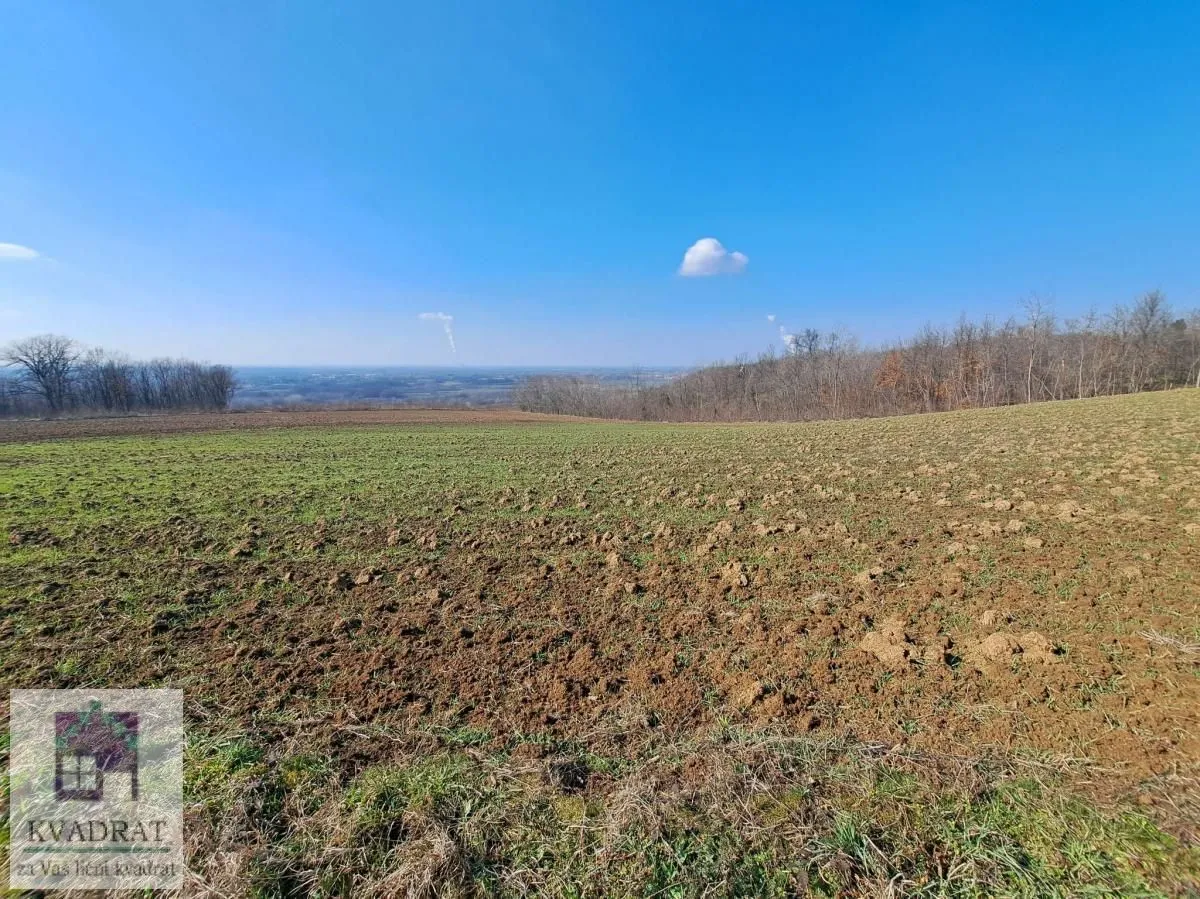 Sale, land lot, 22800m², Mislodjin, Obrenovac