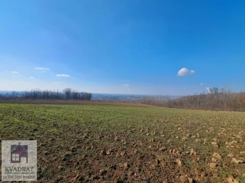 Sale, land lot, 22800m², Mislodjin, Obrenovac - image 3