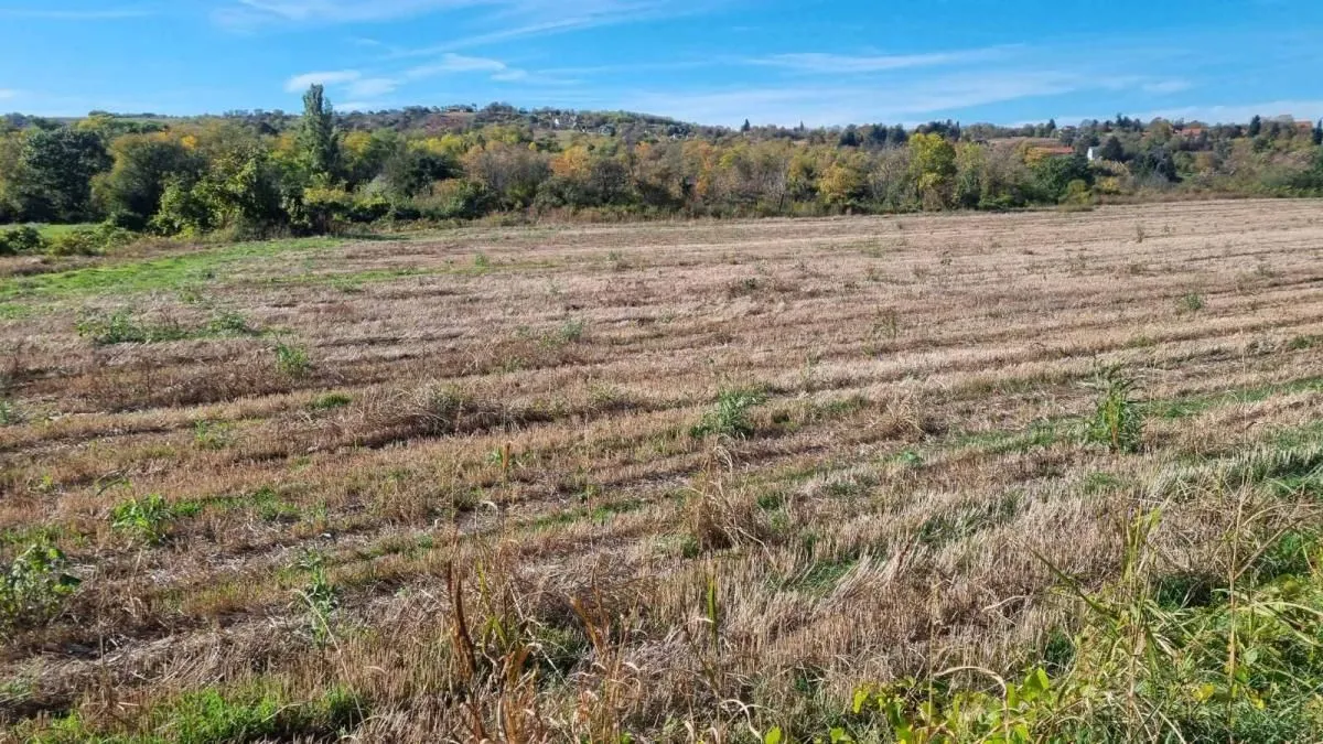 Prodaja, plac, 234m², Sremski Karlovci, Novi Sad
