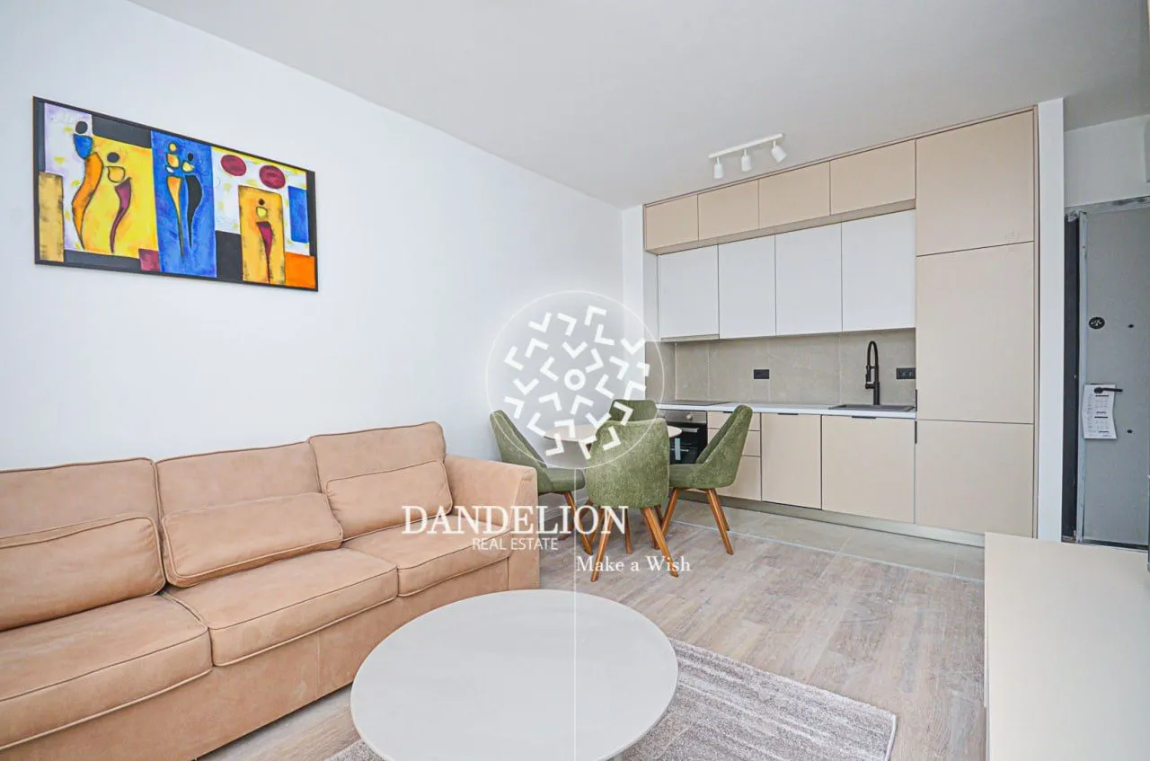 Izdavanje, jednosoban stan, 35m², Zabjelo, Podgorica