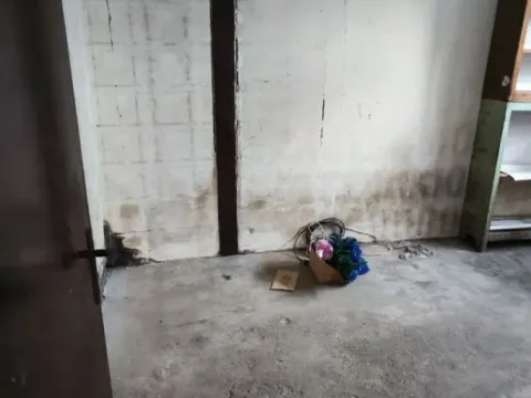 Prodaja, poslovni prostor, 45m², Boljetin, Majdanpek - image 6