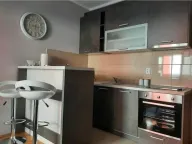 Izdavanje, stan, 30m², Ljubović, Podgorica - image 4