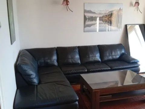Izdavanje, trosoban stan, 56m², Južni Bulevar, Vračar Sve Podlokacije - image 2