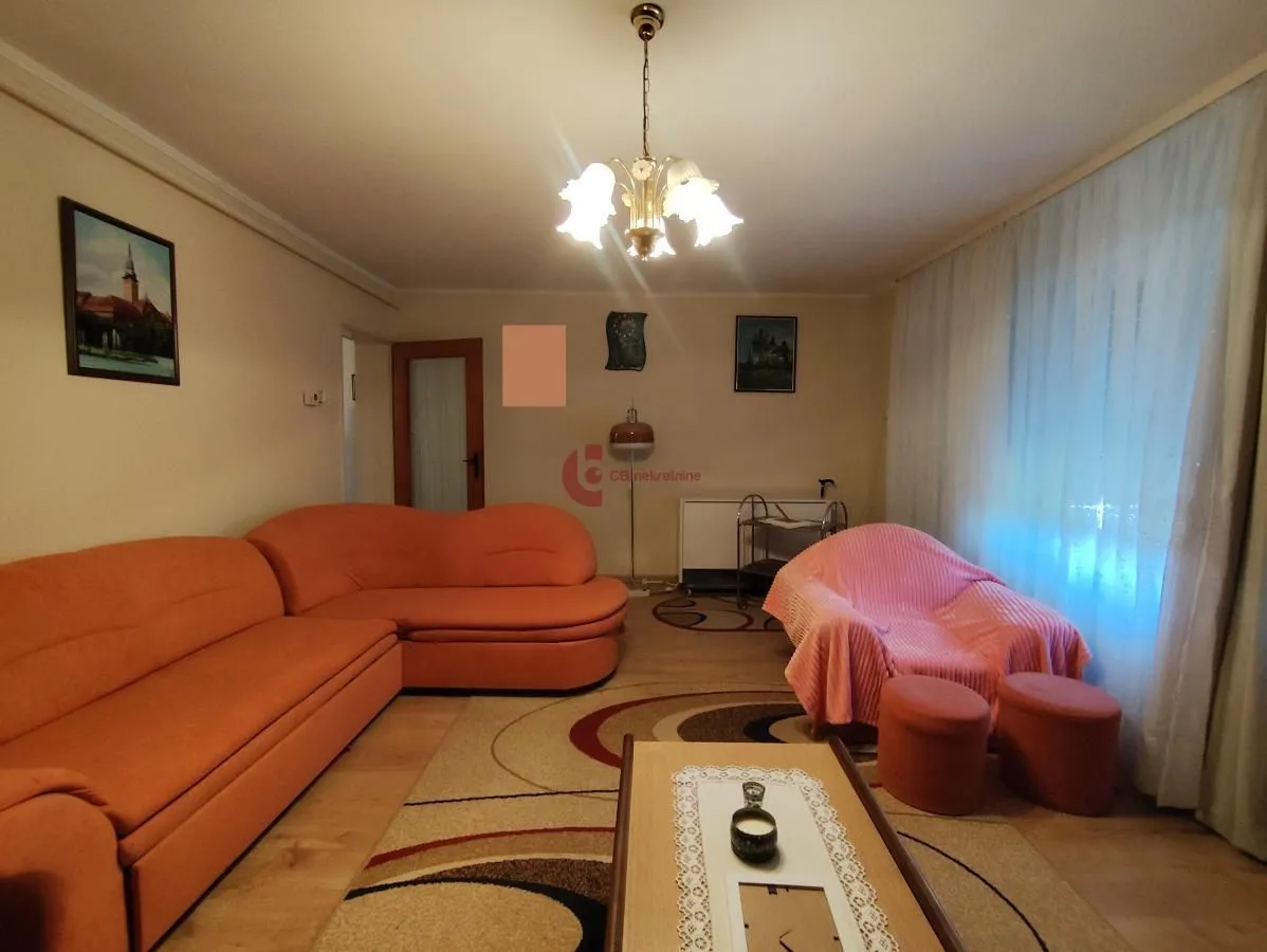 Living room with seating furniture and a rug.