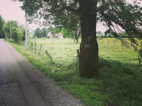 Prodaja, plac, 1050m², Donji Martinići, Danilovgrad - image 4