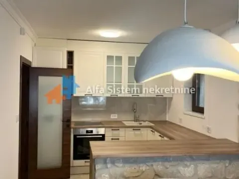 Izdavanje, kuća, 250m², Višnjička Banja, Palilula Sve Podlokacije - image 8