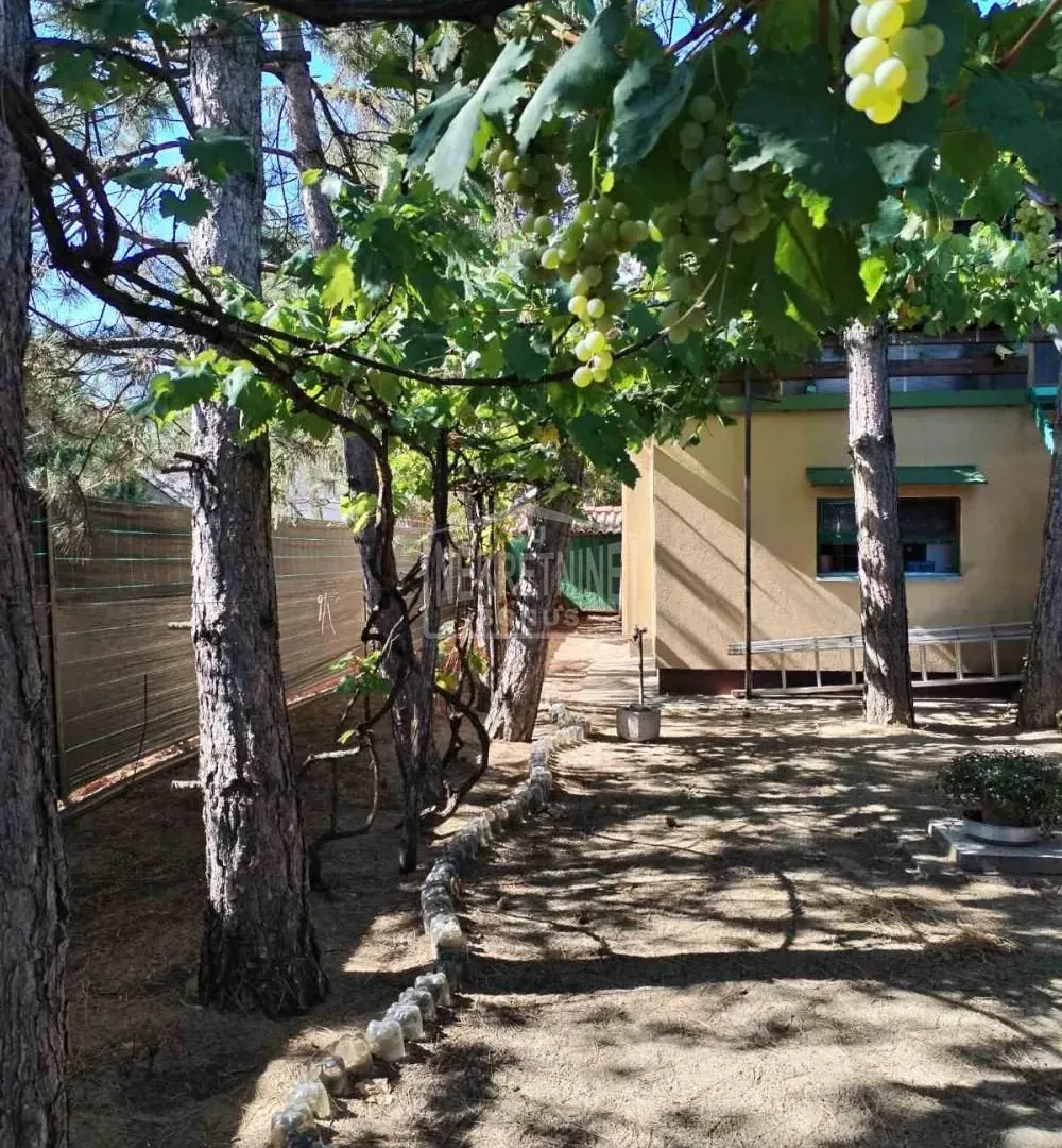 Prodaja, kuća, 58m², Srpski Šor, Subotica