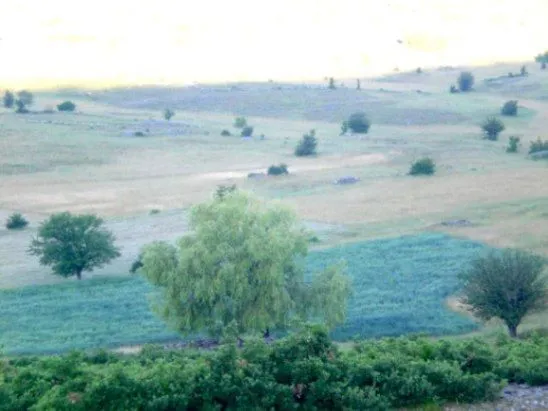 Prodaja, plac, 16106m², Velimlje, Nikšić