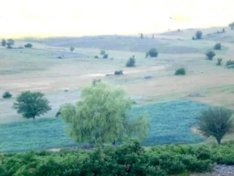 Prodaja, plac, 16106m², Velimlje, Nikšić - image 6