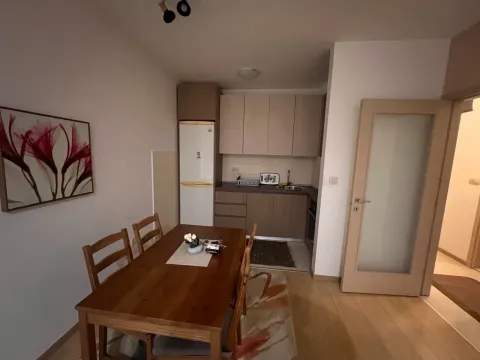 Rent, one bedroom apartment, 47m², City Kvart, Podgorica - image 5