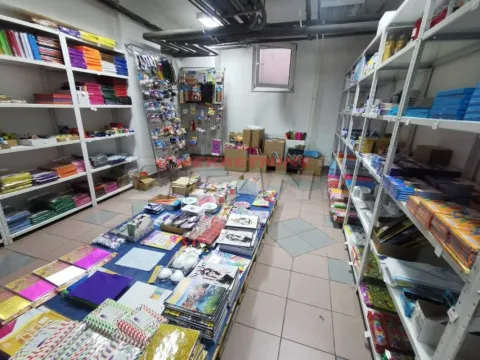 Prodaja, poslovni prostor, 127m², Hala Pionir, Palilula Sve Podlokacije