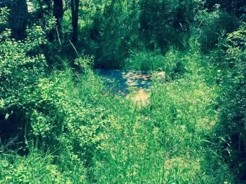 Sale, land lot, 1150m², Buljarica, Budva - image 5