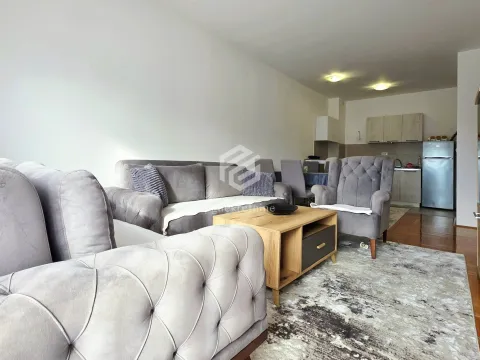 Prodaja, jednosoban stan, 48m², Stari Aerodrom, Podgorica - image 4