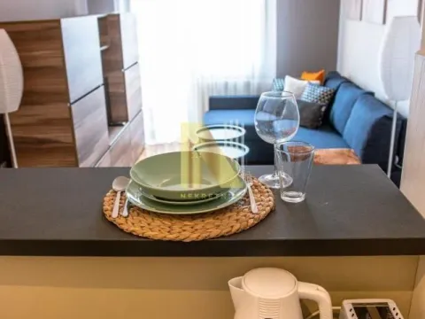 Rent, one bedroom apartment, 36m², Grbavica, Novi Sad Sve Podlokacije - image 3