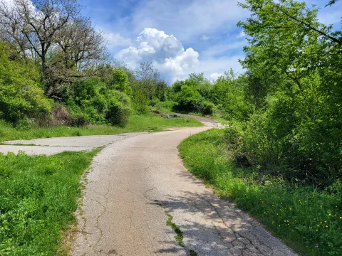 Prodaja, plac, 160000m², Bršno, Nikšić - image 17